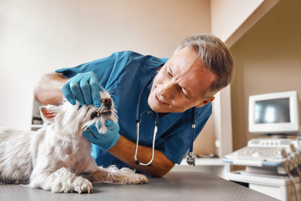 Best Broken Tooth Emergency  in Sharon, PA